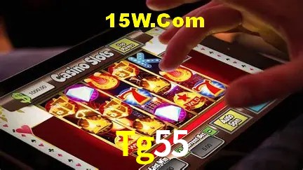 Sistemas de Segurança Tg55