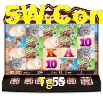 Tg55 Bet Login