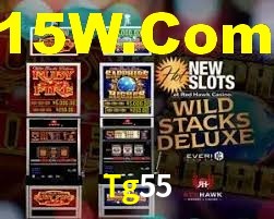 Premium Interface Tg55